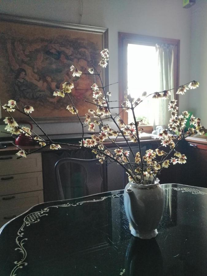 Corte Di Maggio B&B Country House อิโมลา ภายนอก รูปภาพ
