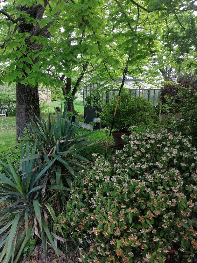 Corte Di Maggio B&B Country House อิโมลา ภายนอก รูปภาพ