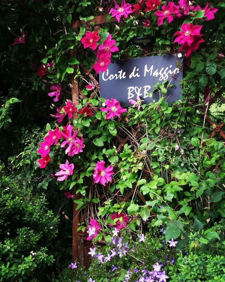 Corte Di Maggio B&B Country House อิโมลา ภายนอก รูปภาพ