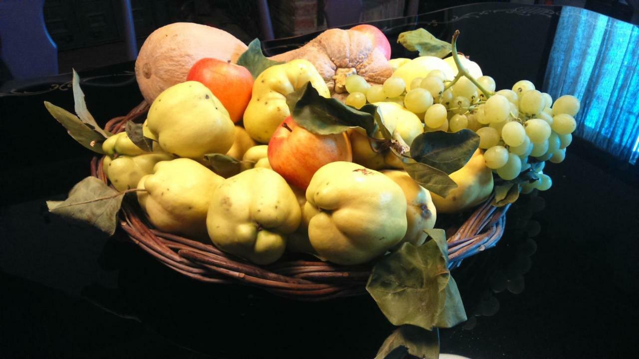 Corte Di Maggio B&B Country House อิโมลา ภายนอก รูปภาพ